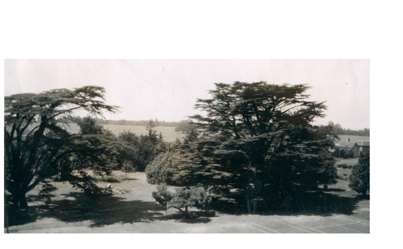 http://www.hawnes-school.org.uk/images/TheCedars.jpg